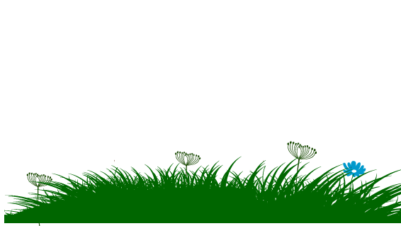 grass 
